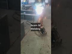 Lokakarya Baja Sri Lanka dengan Proyek Crane